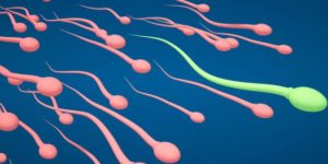 infertilità spermatozoi