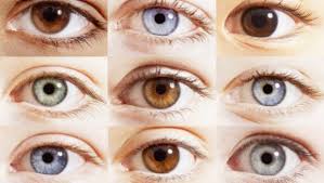 oculistica colore occhi